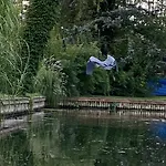 Holzhaus Mit Direktem Wasserzugang In Berlin-koepenick * Berlin