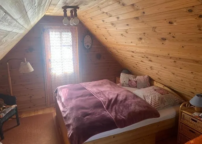 Holzhaus Mit Direktem Wasserzugang In Berlin-koepenick *