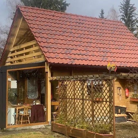 Holzhaus Mit Direktem Wasserzugang In Berlin-koepenick 펜션 *