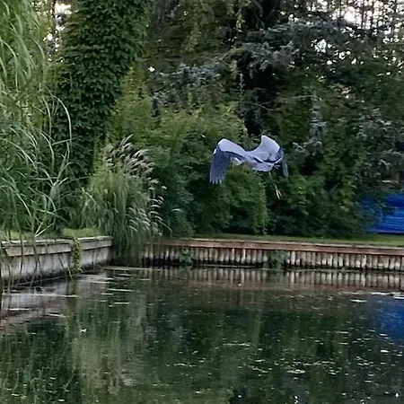 Holzhaus Mit Direktem Wasserzugang In Berlin-koepenick * 베를린