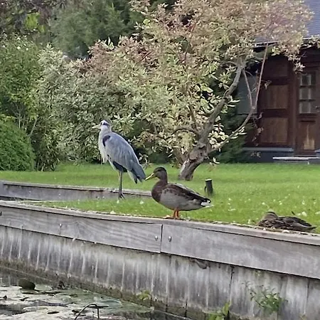 בית נופש Holzhaus Mit Direktem Wasserzugang In Berlin-koepenick ברלין