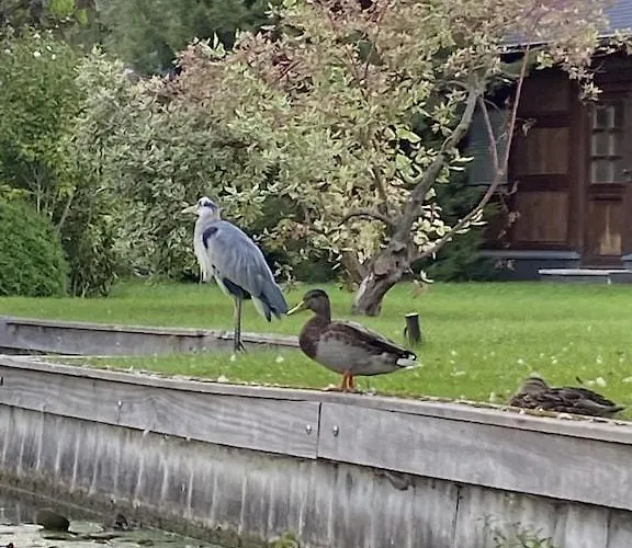 בית נופש Holzhaus Mit Direktem Wasserzugang In Berlin-koepenick ברלין