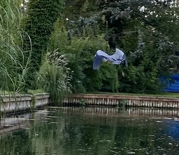 Holzhaus Mit Direktem Wasserzugang In Berlin-koepenick * Berlin